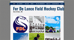 Desktop Screenshot of ferdelancehc.com